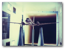 exp_img3[1].jpg